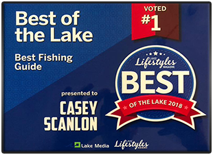 best-of-the-lake310.png